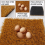 6Pcs Washable Chicken Nesting Pads,Chickens Pads Artificial Grass Rug Reusable Hens Nest Boxes Pad 5