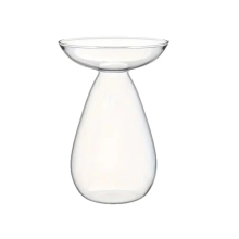 Avocado Hydroponic Vase Transparent Plant Propagation Station Glass Tree Flower for Growing Planter 1PCS
