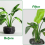 Supporto per piante, stabilizzatore riutilizzabile per steli di Monstera, per bonsai, da interno e da esterno, 6 pezzi 5