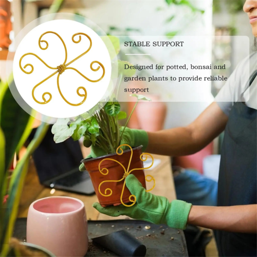 Supporto per piante, stabilizzatore riutilizzabile per steli di Monstera, per bonsai, da interno e da esterno, 6 pezzi 1