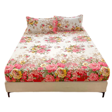 Washed Cotton Printed Fitted Sheet Protector Foreign Trade Seasons Full Surround Bedspread 3Piece Set
