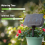 Solar Irrigation System for Garden Balcony Automatic Drip DIY Watering 4