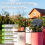 Solar Irrigation System for Garden Balcony Automatic Drip DIY Watering 2