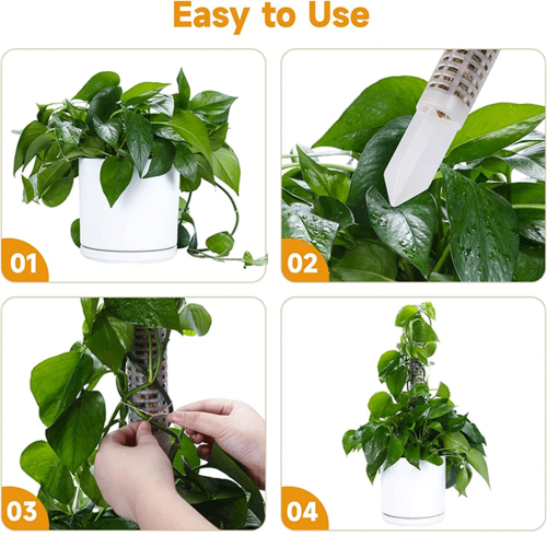 Stackable Transparent Plastic Moss Pole for Plants Monstera , Indoor Plant Accessories Support Stakes, Stakes 2