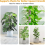 Stackable Transparent Plastic Moss Pole for Plants Monstera , Indoor Plant Accessories Support Stakes, Stakes 7
