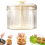 Translucent Meatball Maker,Manual Maker, 5 Balls Maker Kitchen Mold,Kitchen Making Tool,A 6