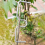 30 Pcs Fruit Tree Branch Puller Tying Machine Farm Tools Open Angle Pull Stereotyped Bending 8