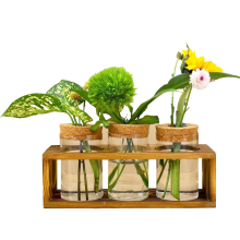 Propagation Station,Glass Plant Terrarium for Cutting,Enhances HomeDcor,Perfect Indoor Centerpiece Lover