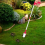 Spider Catcher Long Handle Folding Cockroach Grabbers Traps for Garden 9