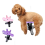 Dog Grooming Beauty Fixed Table Base Frame Adjustable Removable Fixing Metal Universal Pet Bath Fixer B 6