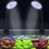 USB Small Fish Tank Light Variable Color Dimming Clip Led Aquarium Water Grass 5