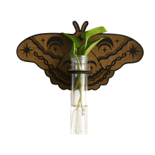 Butterfly Wall Mounted Breeding Station, Wooden Hanging Plant Holders, Indoor Plants with Plastic Tubes, A