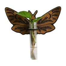Butterfly Wall Mounted Breeding Station, Wooden Hanging Plant Holders, Indoor Plants with Plastic Tubes, B