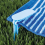 Beach Towel Clip Camping Mat Plastic Picnic Cloth 6