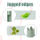 Pepper Deseeder -Skin Green Corer Fruit and Vegetable Coring Tool 8