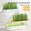 Hydroponic Cat Grass Box Snack Soilless Planting Pot A 5