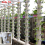 10 Sets Hydroponic Soil-Free Growing System DIY Nursery Garden Kit 3
