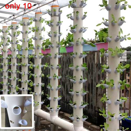 10 Sets Hydroponic Soil-Free Growing System DIY Nursery Garden Kit 2