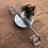 Multifunctional Cutting Machine Material Stand Adjustable Tripod Auxiliary Support Foldable Bracket 6