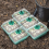 Thickened Seedling Pot with Light Box Small Plant Ventilation Valve 5
