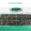 Thickened Seedling Pot with Light Box Small Plant Ventilation Valve 7