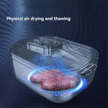 Smart Defroster for Thawing of Defrosting Tray Meat - Home Use Temperature Control Device with Draining Basket