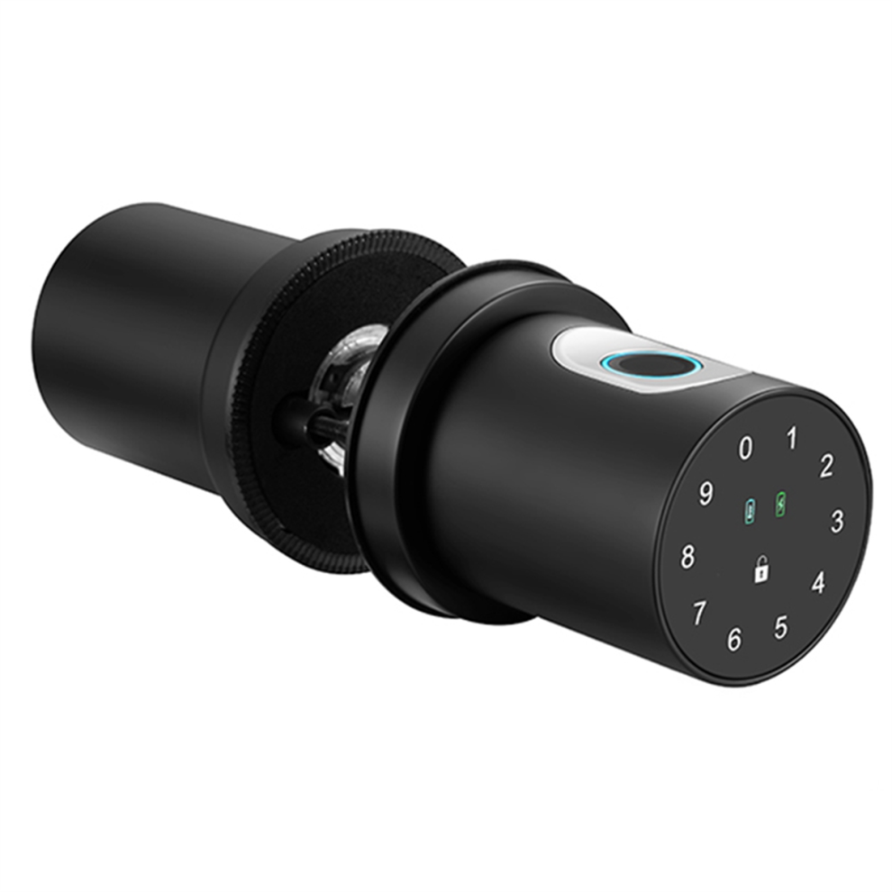 Photos - Door Lock Tuya Bluetooth Fingerprint Lock, Password Suitable for Bedroom, Homestay, Apartment