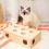 Cat Toys Interactive Whack-A-Mole Solid Wood for Indoor Cats Kitten Catch Mice Game 3