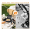 Universal Stroller Snack Tray Attachment with Dust Cover Sturdy Cup Holder Clamp 4