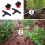 200 Adjustable Irrigation Drippers with Drip Kit for Garden Watering Fitting 5