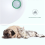 Odor Purifier for Cats Litter Box Deodorizer Rechargeable Air Cleaner Pets Deodorization Tools 6