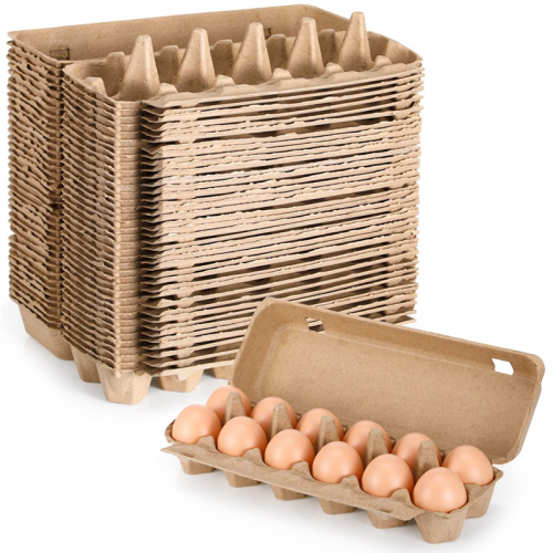 20PCS Cardboard Egg Cartons Blank Paper Pulp One Dozen Container Empty Tray Holder