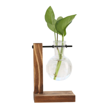 A Plant Propagation Stations Desktop Terrarium,Glass Planter with Stand,Propagation Station for Hydroponics Plants