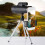 1250 Monoculars Monocular Telescope for Adults Water Proof Multi-Function Telescope Night Vision (Black) 4