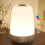 Touch Wake Up Night Light with Sunrise Simulation Alarm Clock, 3 Ways Dimmable Warm(White) 1
