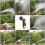 Garden Hose Nozzle Sprayer Hand Shower 8 5
