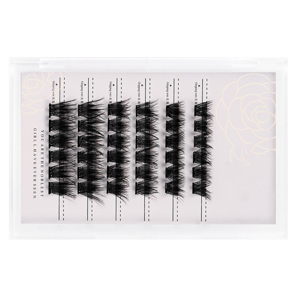 Z'LRAQI BEAUTY Individual False Eyelashes
