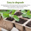 10pcs Seed Growing Tray Biodegradable Paper Pot 9