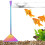 Modello: Sand Flattener 32cm 56g Colore: Come da immagine 15