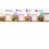 Chill Pills Gift Pack 350g - White Christmas 4