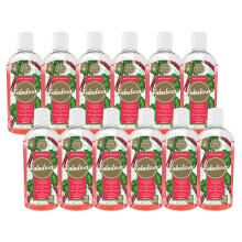Fabulosa 4 in 1 Concentrated Antibacterial Disinfectant All Purpose Cleaner, 220ml, 12 Pack, Wild Rhubarb