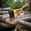 Roughneck Roughneck ROU65640 Axe 0.6kg/1?lbs 5