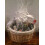 Make Your Own Hamper Kit, Oval High back Willow Basket which includes Bow & Cellophane Small Medium Or Large Gift Xmas (medium) 3