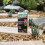 Roundup Scotts Miracle-Gro Roundup Tree Stump and Root Killer 250 ml Liquid Concentrate Weedkiller 4