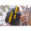 STANLEY STANLEY FATMAX Tool Backpack with Wheels, Extendable handle, Removable Tool Caddy, Separate Compartments For Tools, Includes Laptop/ Tablet Storage, 4