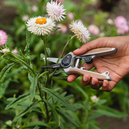 Kent & Stowe KS Garden Life Snips 2