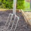 Spear & Jackson Spear & Jackson 4552BF Traditional Stainless Steel Border Fork 5