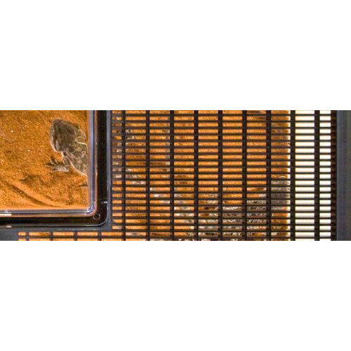 Exo Terra Flat Faunarium Large 1