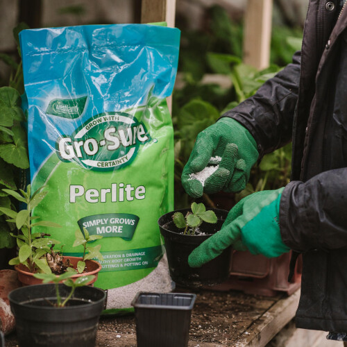 Westland GRO-Sure 20100270 Perlite, 10 L 1