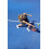 HEAD Evo Radical Padel Racket, Blue/Red 3
